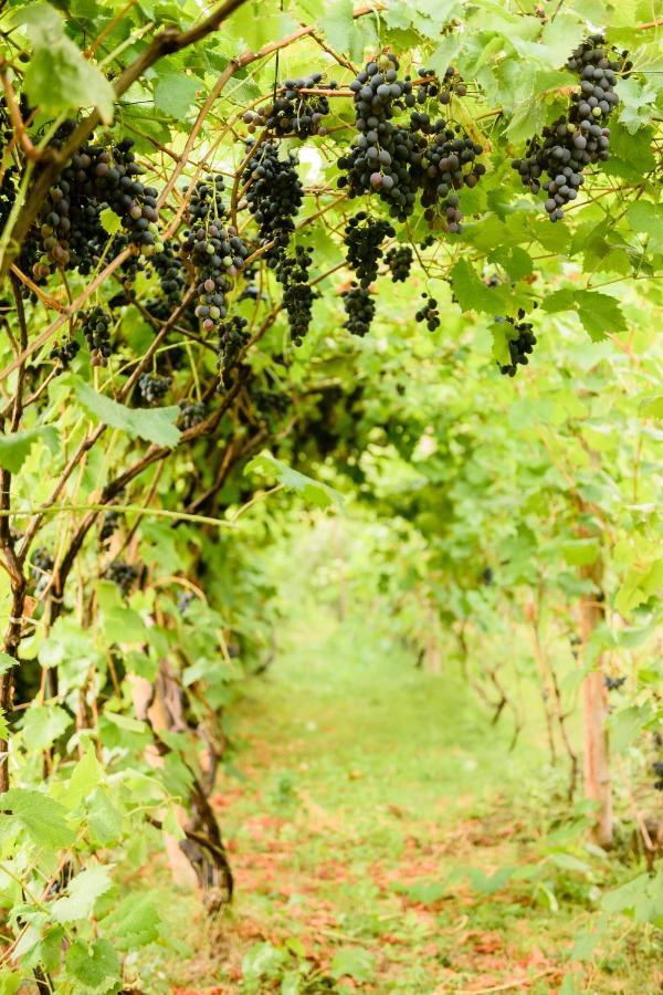 Séjour à la ferme Vrelo *